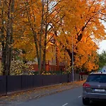 Quiet Romantic Parking, * Tartu