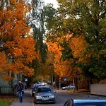 Quiet Romantic Parking, * Tartu