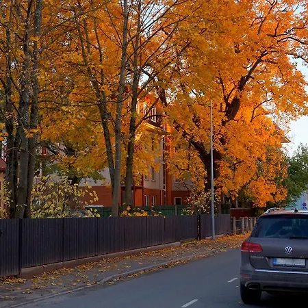 Quiet Romantic Parking, * Тарту