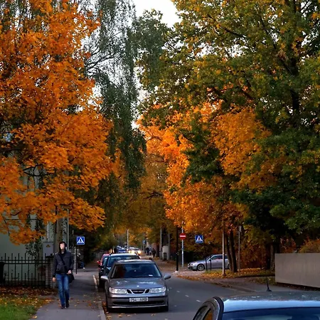 Quiet Romantic Parking, * Tartu