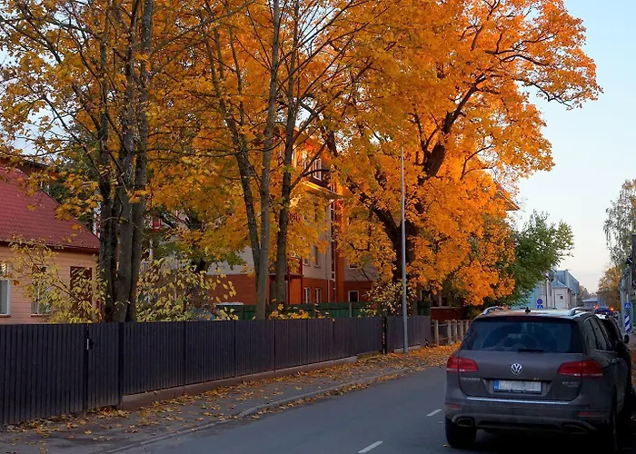 Quiet Romantic Parking, * Tartu