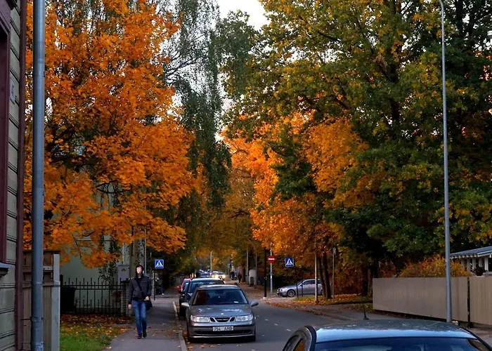 Quiet Romantic Parking, * Tartu